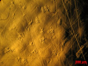 Moon surface, photo via Wikimedia Commons